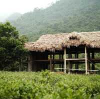 MoJen’s Retreat- Nơi chữa lành tâm hồn
