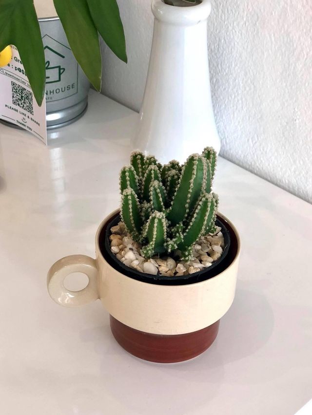 🧡Greenhouse Cafe🌵
