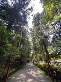 箱根一日遊 @ 箱根神社