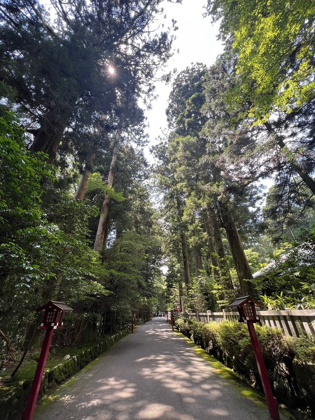箱根一日遊 @ 箱根神社