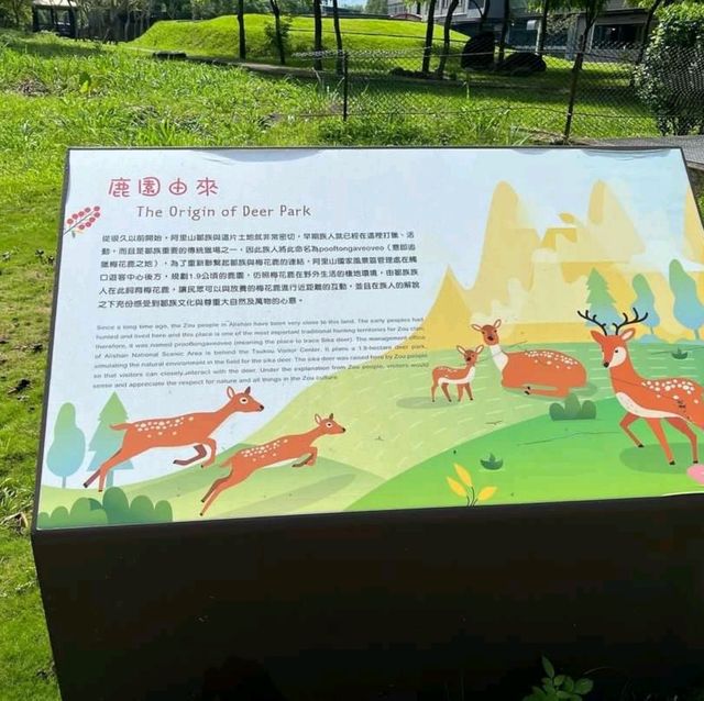 來台灣玩，介紹去嘉義😍梅花鹿園