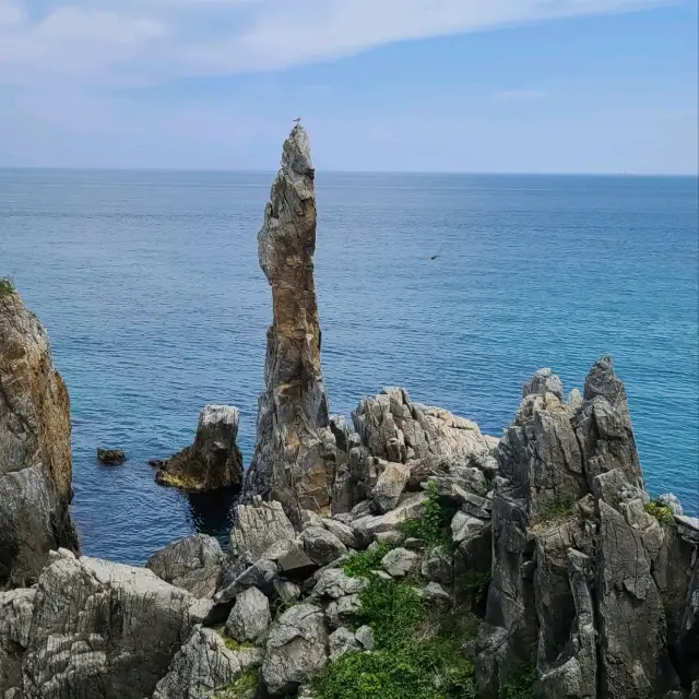 자유롭게, 무료로, 촛대 바위, 추암해변, 동해안의 매력을 빠져 보세요.