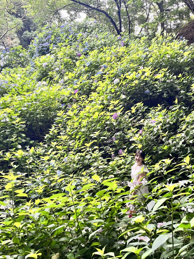 【神戸布引ハーブ園🌿ロープウェイ🚡】