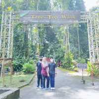 Luscious greenery at Tree Top Walk Sedim