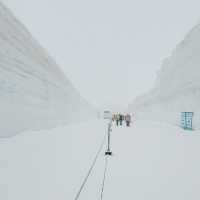 【立山黑部】首個solo旅行，感受大自然的震撼！
