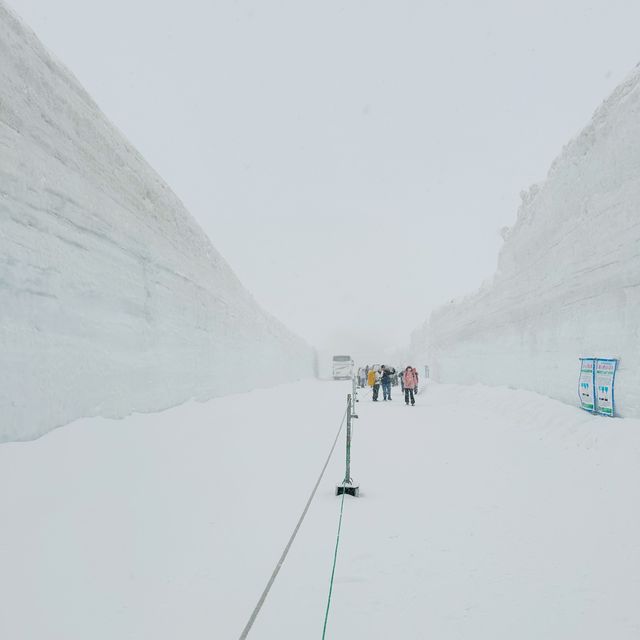 【立山黑部】首個solo旅行，感受大自然的震撼！