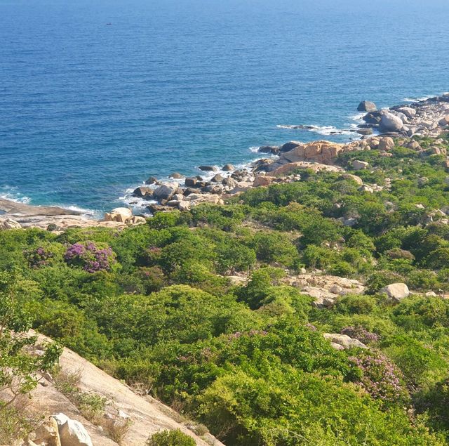 Vinh Hy Bay