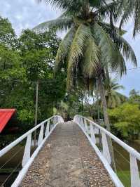 Laman Padi Langkawi ✨