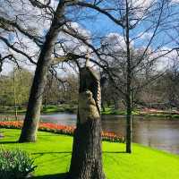 荷蘭🇳🇱利瑟· 藝術雕像美侖美奐⛲️Keukenhof庫肯霍夫花園