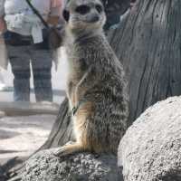 Zoological Gardens Karlsruhe