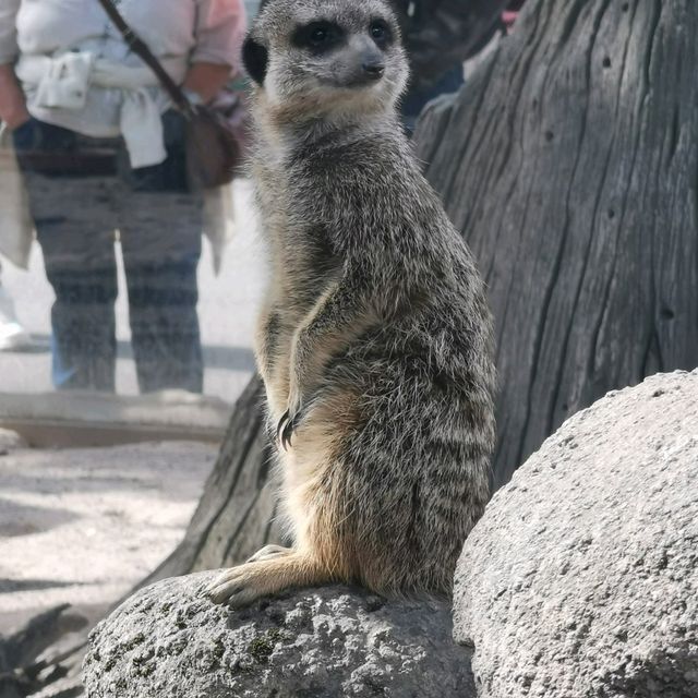 Zoological Gardens Karlsruhe