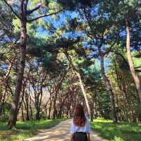 🌿사도세자의 무덤이 화성시에 멋지게 조성되어 있는거 알고 있어?🌿