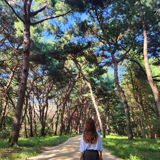 🌿사도세자의 무덤이 화성시에 멋지게 조성되어 있는거 알고 있어?🌿