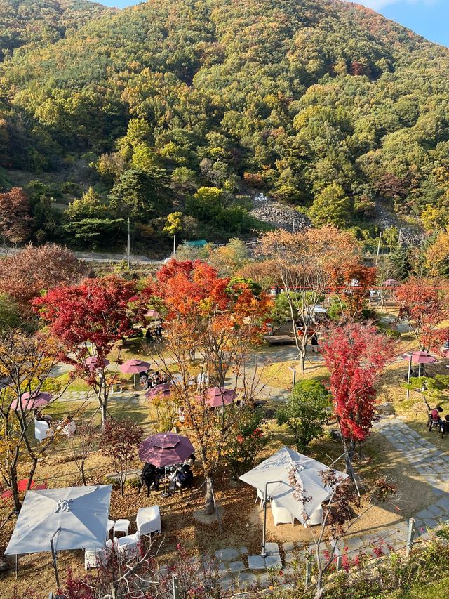 가창 단풍이 빨갛게 물든 마운틴뷰 카페