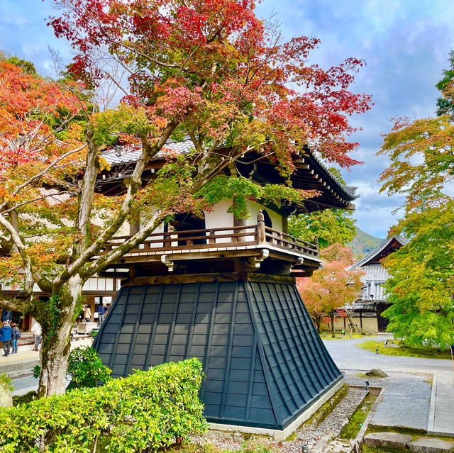 Autumn Splendor at Eigen-ji Temple