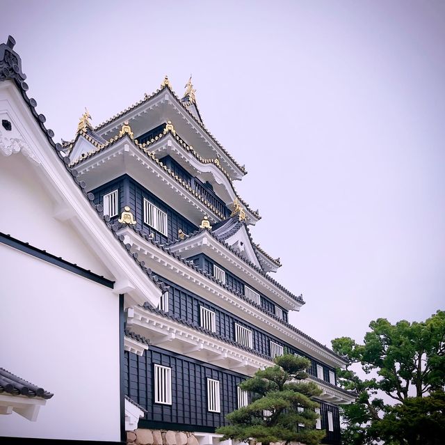Experience Okayama Castle in a day