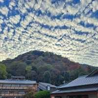 【京都嵐山】紅葉ハイシーズン