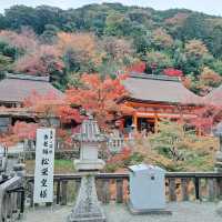 Kiyomizu-dera temple in Kyoto 🇯🇵