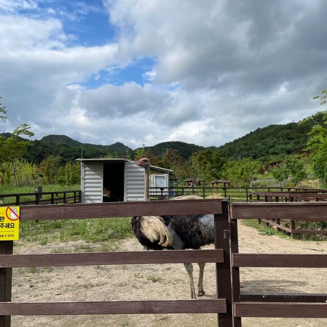 꽃들이 예쁜 해운대수목원