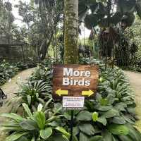 Bird Park in Kuala Lumpur