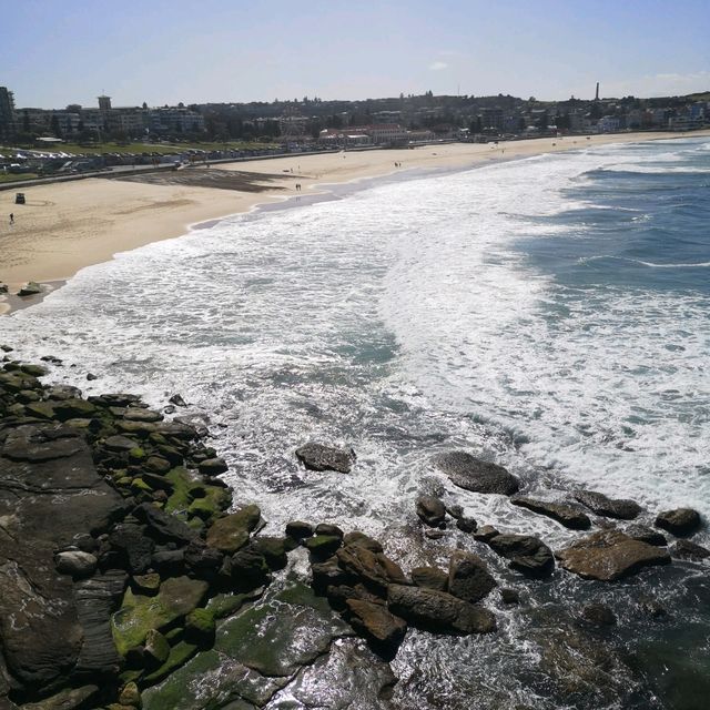 Sydney Bronte-Bondi Coastal Walk