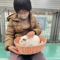 ふれあい広場〜野毛山動物園〜