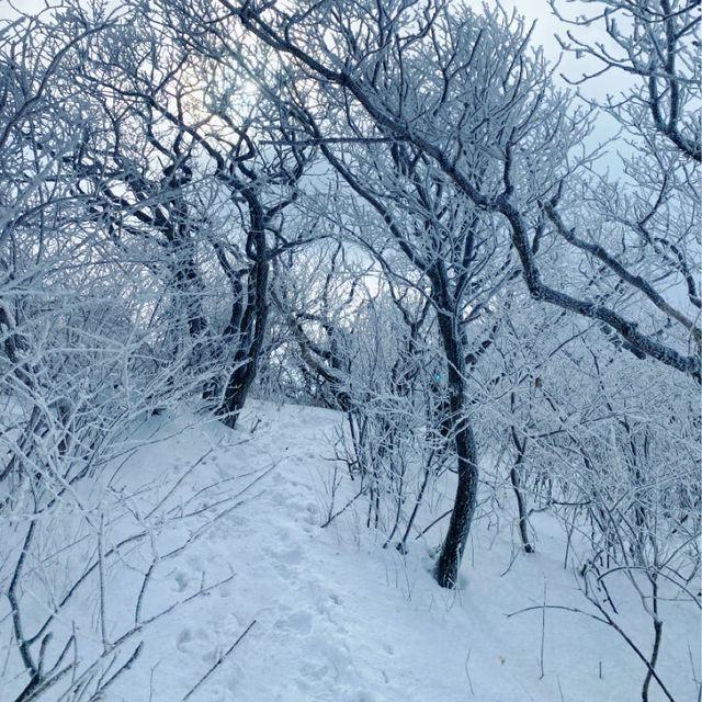 오대산 비로봉에서 상왕봉까지