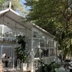 Lamour Cafe & Restaurant User Photo
