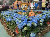 “Bliss in Bloom” Hong Kong Flower Show 