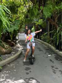 The Gems Mining Pool Villas Pattaya 