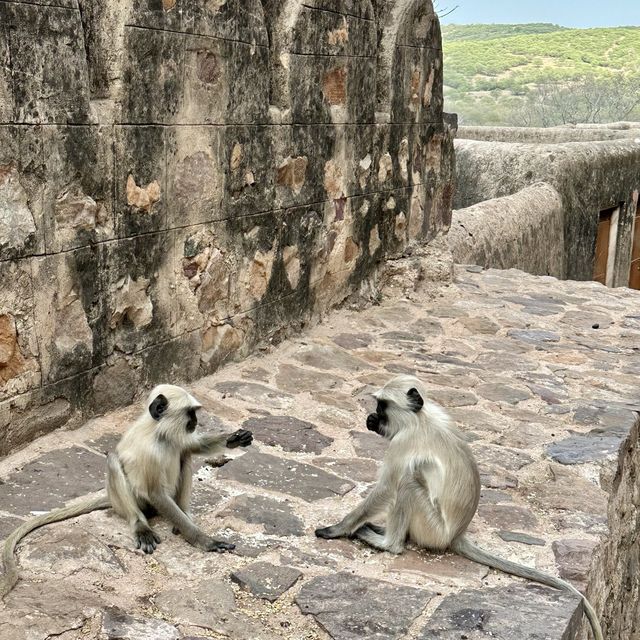 (インド ランタンボール) 要塞遺跡