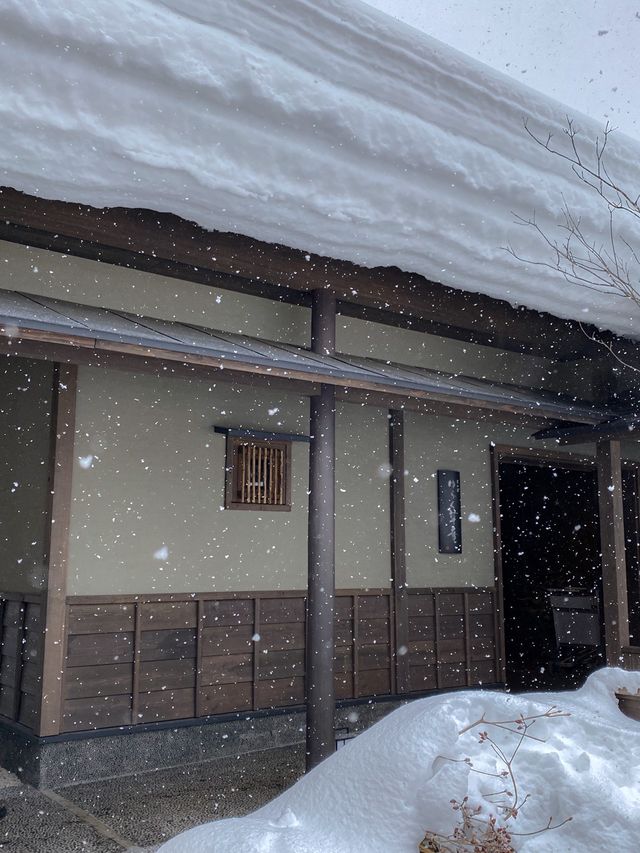 눈 내리는 겨울, 일본 료칸은 선택 아닌 필수!⛄️