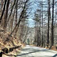 【長野県】白糸の瀧に行こうとしたけど行けなかった