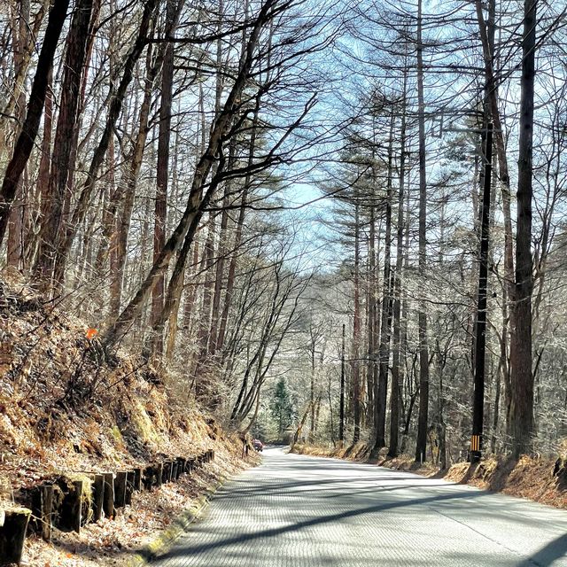 【長野県】白糸の瀧に行こうとしたけど行けなかった
