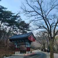 피크닉을 즐기기에 좋은 공주 절 여행 마곡사