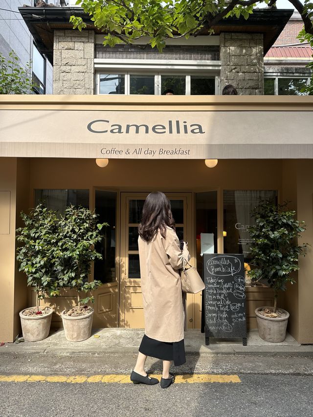 韓国/ソウル【延南洞】インテリア、フレンチトーストがとってもかわいい🧡おすすめカフェ