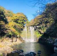 🇰🇷韓國濟州島風景💧💦 Cheonjiyeon Waterfall 천지연폭포