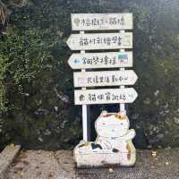 Houtong Cat Village 🐈