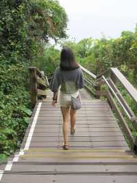 小琉球隱藏的原始森林🌳《山豬溝》
