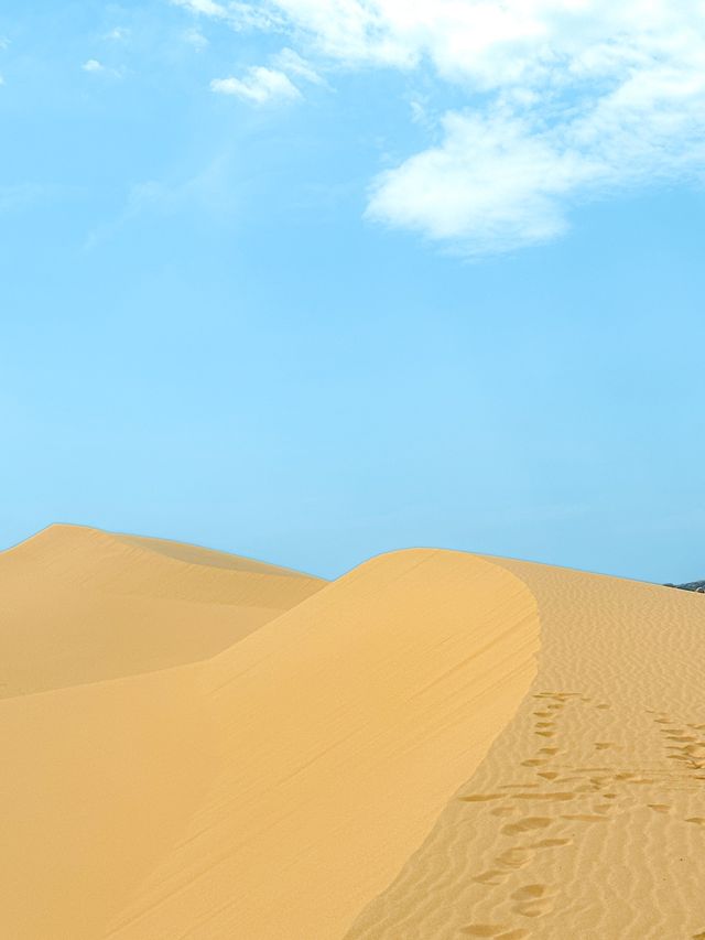 모래의 끝과 만나는 푸른 하늘이 매력적인 판랑사막💙💛