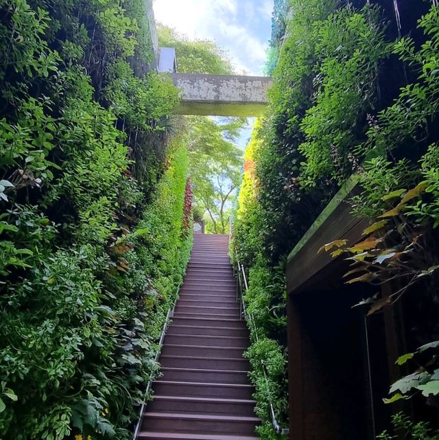가야산야생화식물원