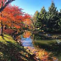 飽覽秋天全貌～札幌 中島公園