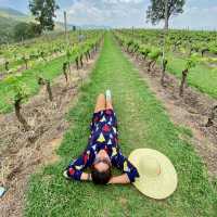Myanmar 1st Vineyard at Southern Shan State