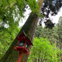 夏は涼しげな貴船神社へ