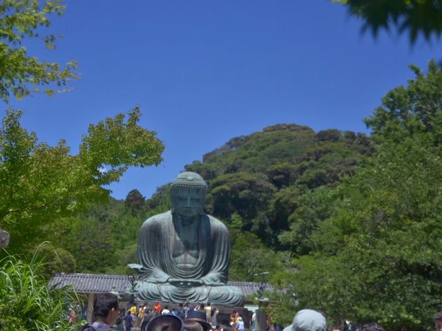 夏のオススメ鎌倉・江ノ島