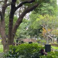 莒光環保公園🐕