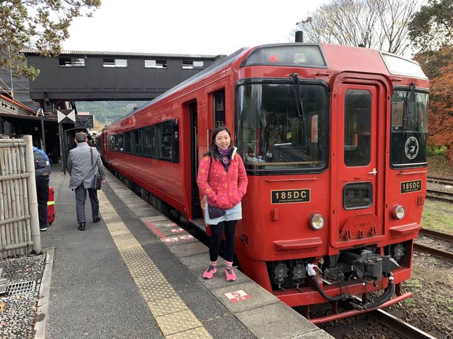 坐「由布院之森」列車暢遊九洲由布院