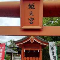 愛知旅行　業葉神社！（なりはじんじゃ）