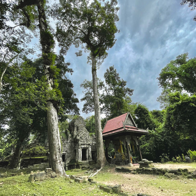 Preah Palilay - the three big trees