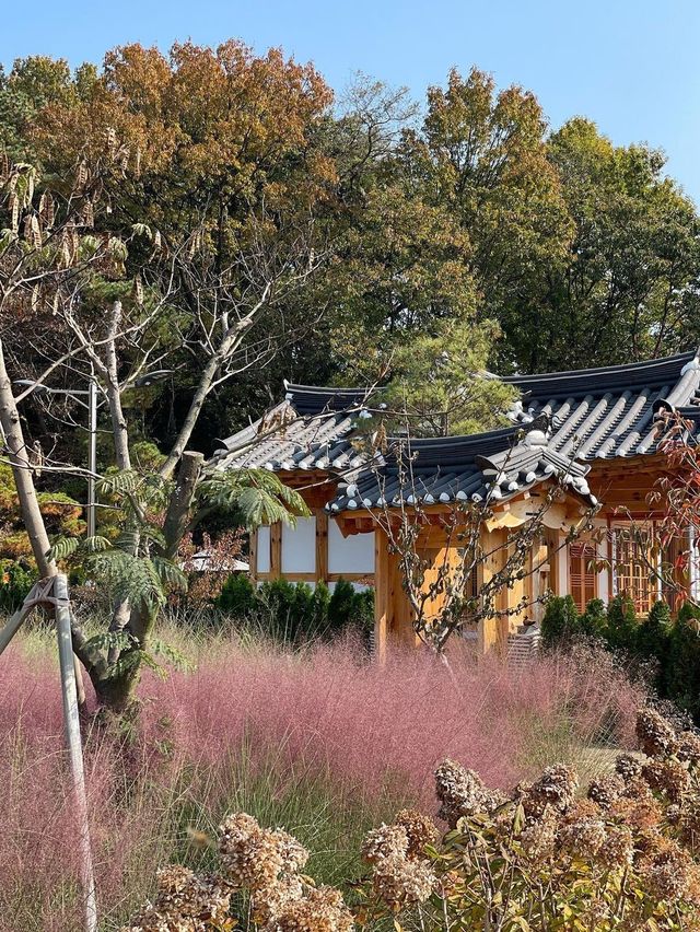 화성에서 남은 가을 즐기러 다녀오기🍂💖 